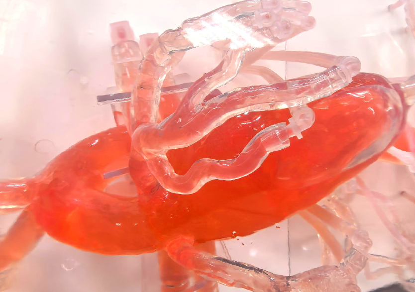 血管介入治疗模拟训练平台